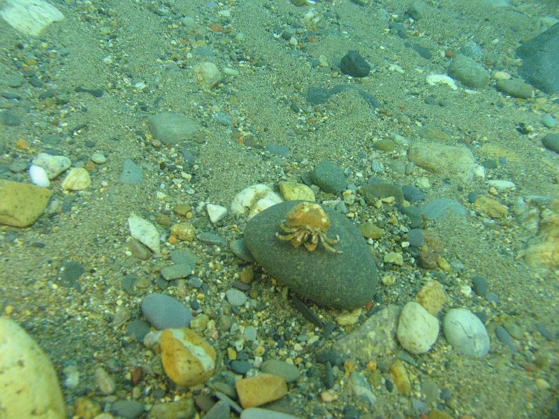 2011-06-06 15-04-48 UK.JPG